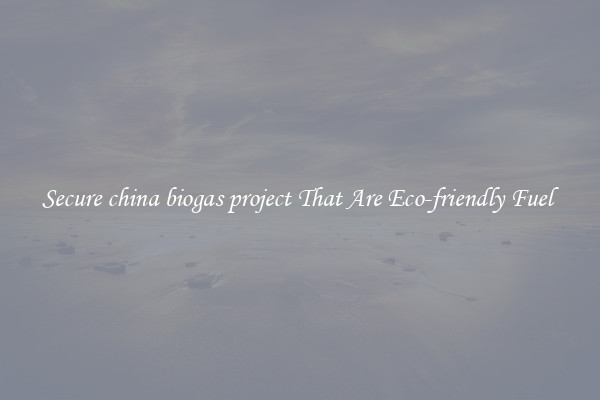 Secure china biogas project That Are Eco-friendly Fuel 