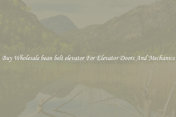 Buy Wholesale bean belt elevator For Elevator Doors And Mechanics