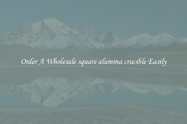 Order A Wholesale square alumina crucible Easily