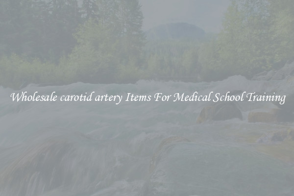 Wholesale carotid artery Items For Medical School Training
