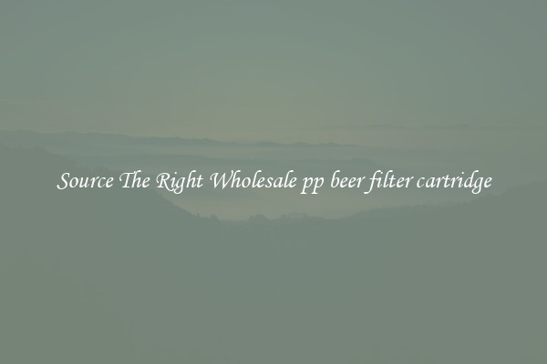 Source The Right Wholesale pp beer filter cartridge