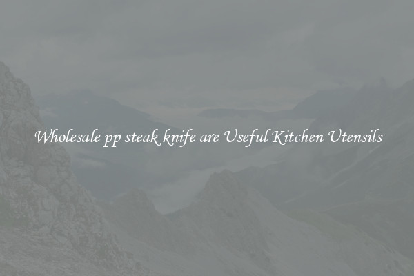 Wholesale pp steak knife are Useful Kitchen Utensils