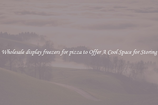 Wholesale display freezers for pizza to Offer A Cool Space for Storing