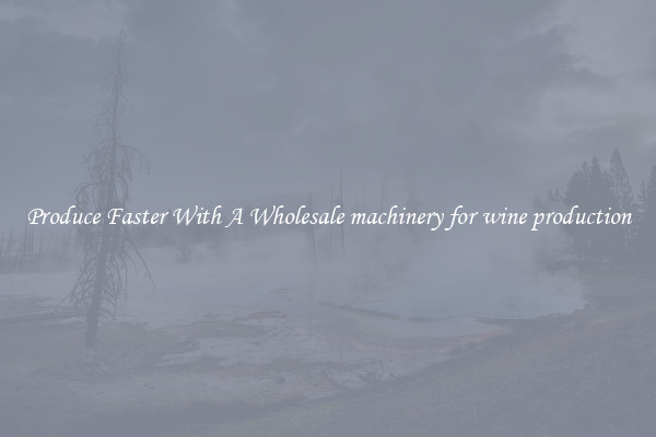 Produce Faster With A Wholesale machinery for wine production