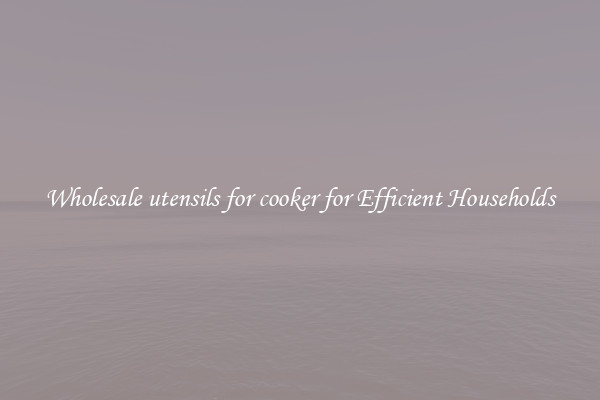 Wholesale utensils for cooker for Efficient Households