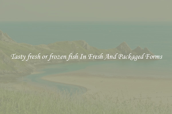 Tasty fresh or frozen fish In Fresh And Packaged Forms