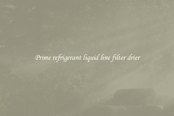 Prime refrigerant liquid line filter drier