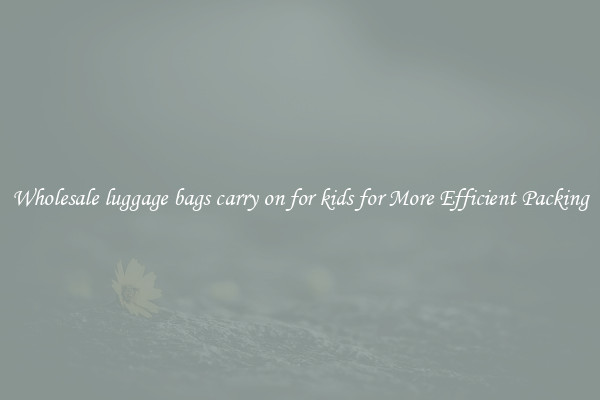 Wholesale luggage bags carry on for kids for More Efficient Packing