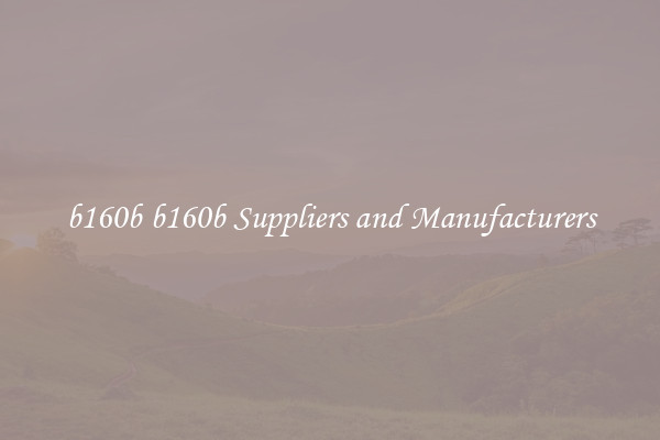 b160b b160b Suppliers and Manufacturers