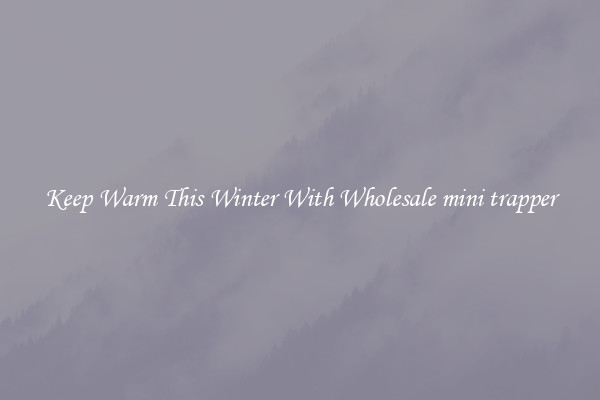 Keep Warm This Winter With Wholesale mini trapper