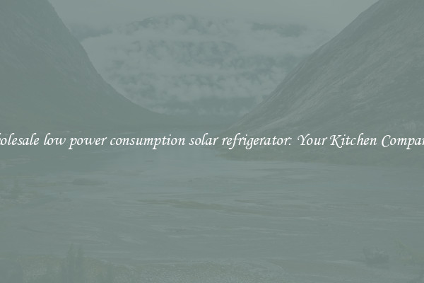 Wholesale low power consumption solar refrigerator: Your Kitchen Companion