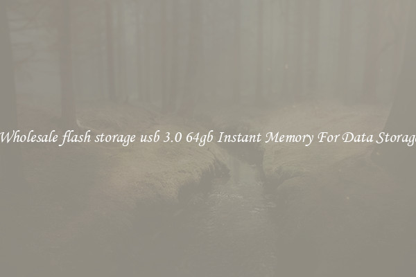 Wholesale flash storage usb 3.0 64gb Instant Memory For Data Storage