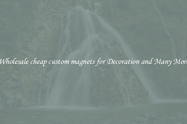Wholesale cheap custom magnets for Decoration and Many More