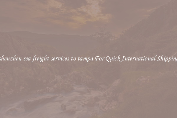 shenzhen sea freight services to tampa For Quick International Shipping