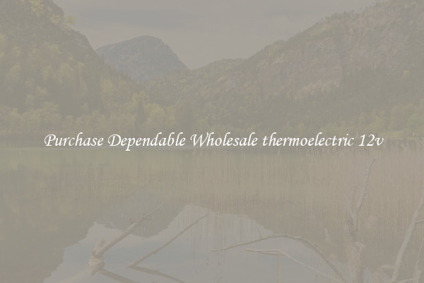 Purchase Dependable Wholesale thermoelectric 12v