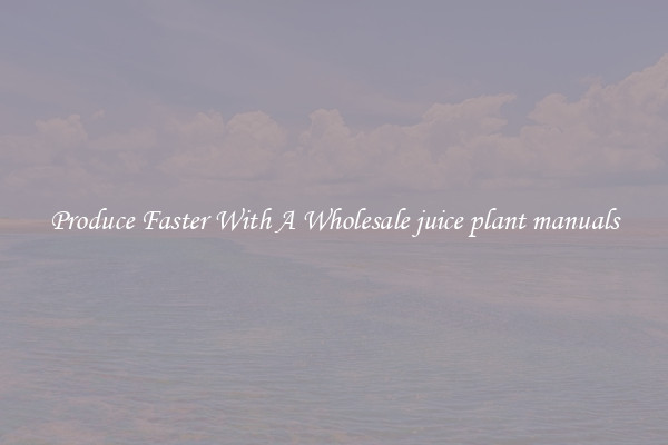Produce Faster With A Wholesale juice plant manuals